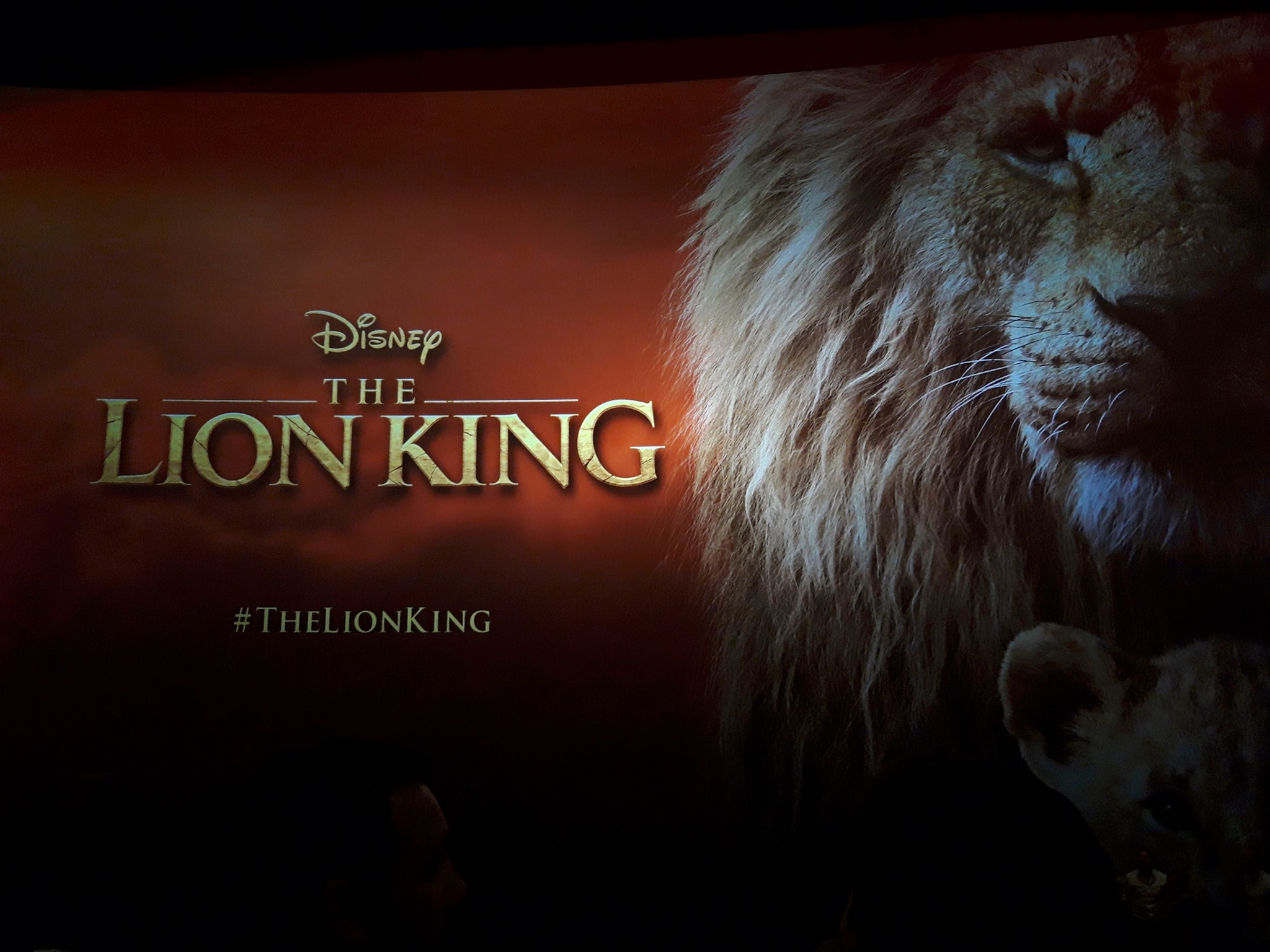 67226510_10217524563537875_7287035329087799296_n